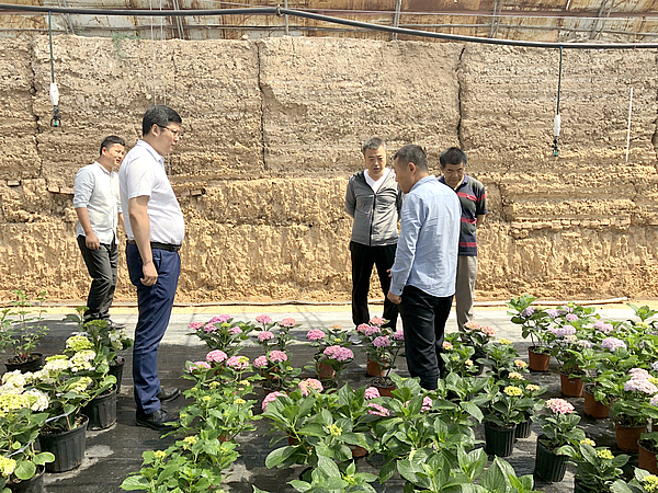 微信圖片_20190523090440.jpg 微信圖片_20190523090440.jpg